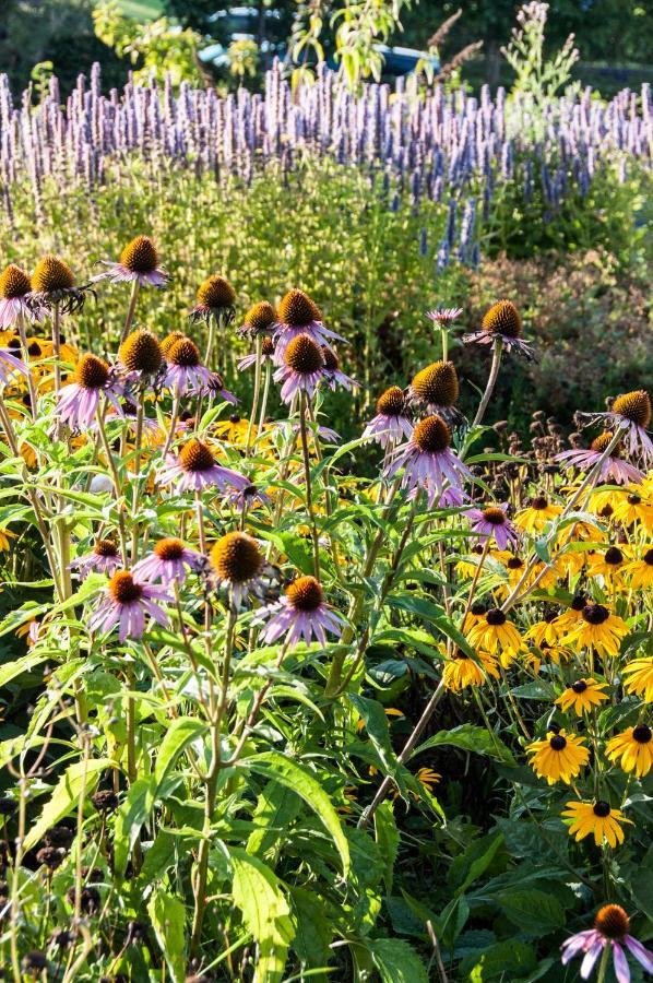 Puurteuven B&B Tussen Kunst En Natuur Voeren Luaran gambar